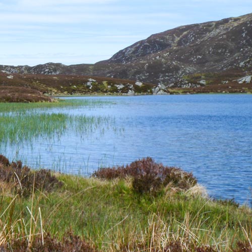 Blick auf einen See mit Bergen im Hintegrund